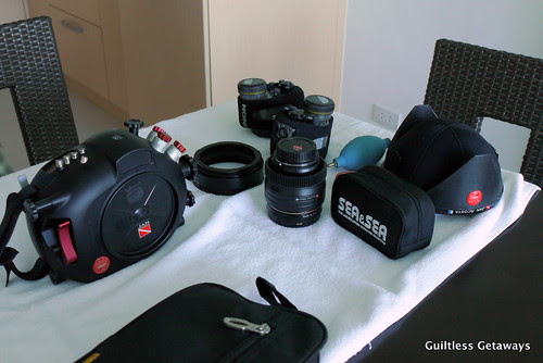 canon-underwater-camera.jpg