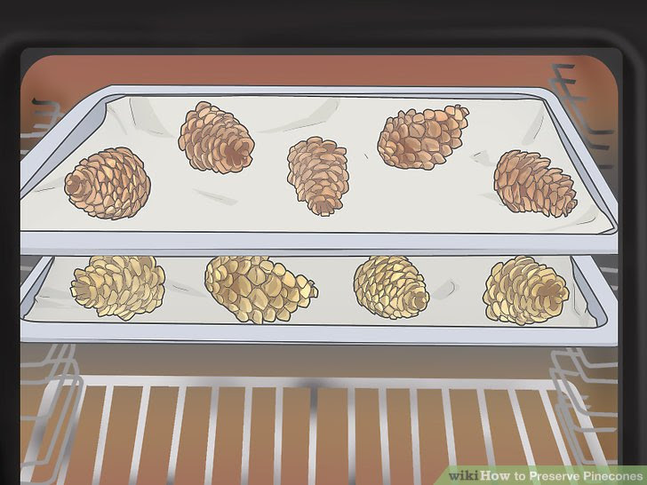 Preserve Pinecones Step 8.jpg