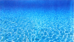 バックスクリーン トロピカルマリン600 ガラス水槽 熱帯魚 A K