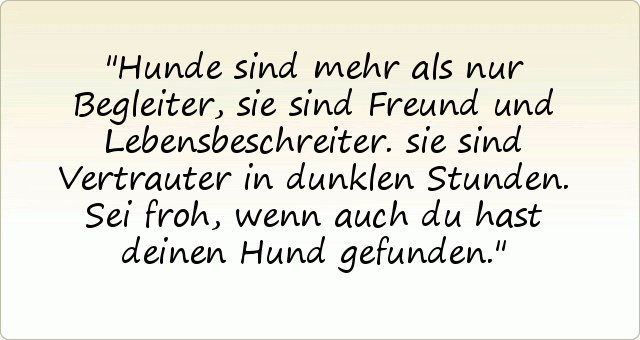 geburtstagswunsche an meine schwagerin
