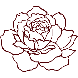 バラのアウトライン No 017 線画ローズのイラスト アイコン 条件付フリー素材集 スマホなど携帯電話対応