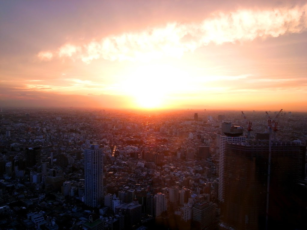 画像 093