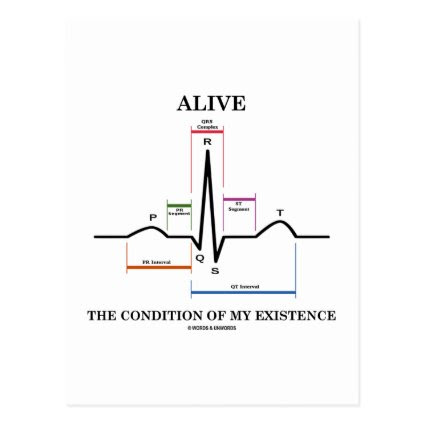 Alive The Condition Of My Existence (ECG/EKG) Postcard