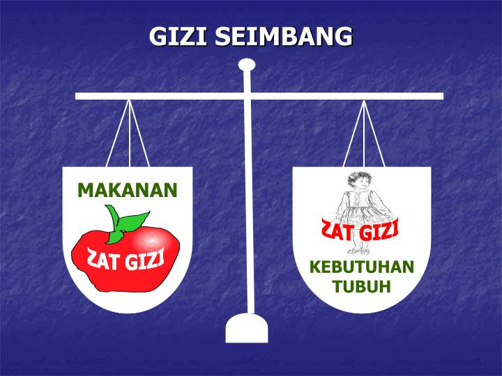gizi seimbang2 n