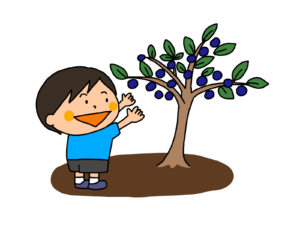 の高さ を英語で Komari Life