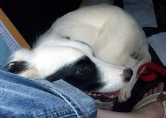 Tessie_8710f