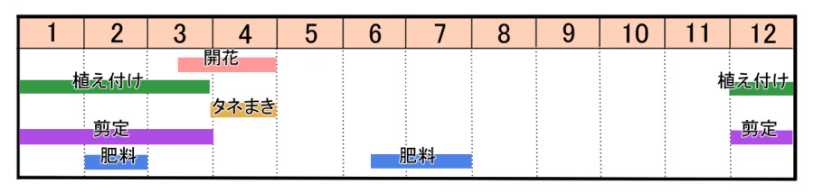 サンショウ 山椒 の育て方 ヤサシイエンゲイ