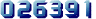 Web Counter