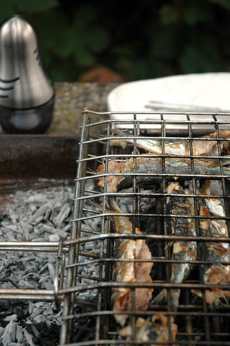 Cucinare al barbecue