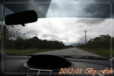 IMG_8315.jpg