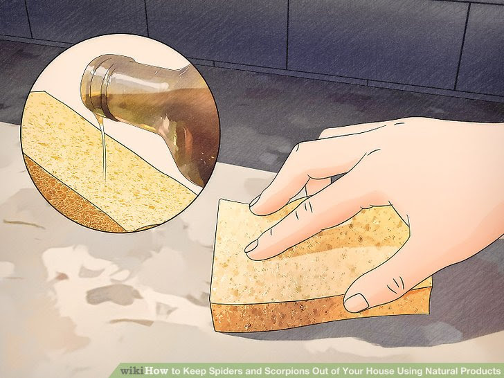 Keep Spiders and Scorpions Out of Your House Using Natural Products Step 6.jpg