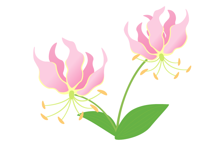 グロリオサの花 美しい無料のフリーイラスト素材集