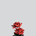 Rose Wallpaper / Rose Wallpapers Free Hd Download 500 Hq Unsplash / We offer a wide variety of colorways that are ideal for bedrooms, living rooms, bathrooms, kitchens and hallways.