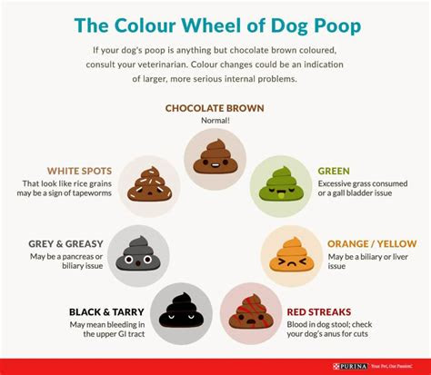  yellow poop color chart