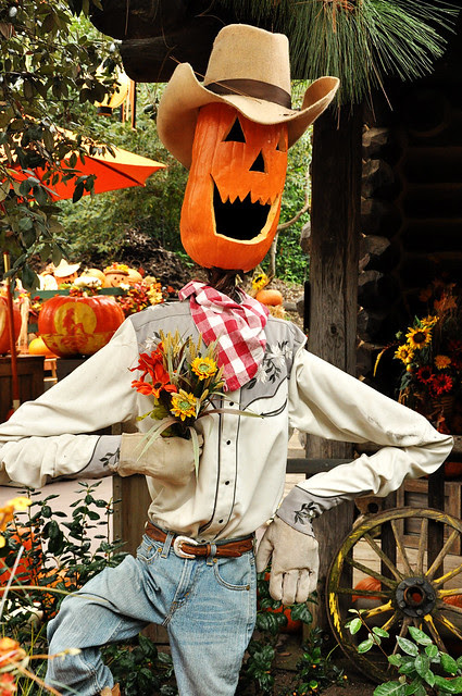 DSC_0778_edited-1