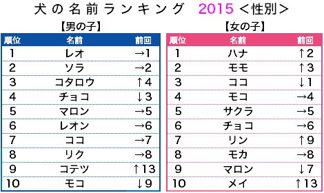 最高の動物画像 ぜいたく変わっ た 可愛い 名前