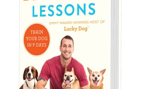 Reading Pdf Lucky Dog Lessons: Train Your Dog in 7 Days How to Download EBook Free PDF