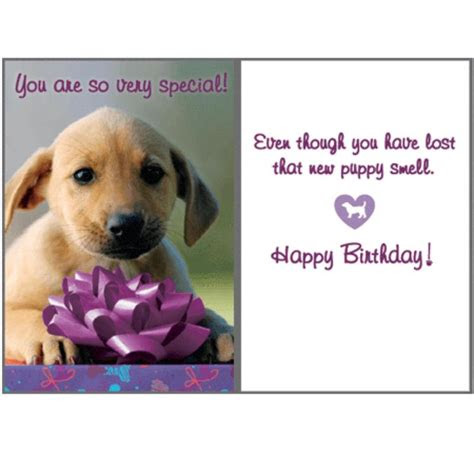  best 25 dog birthday wishes home family style and art ideas