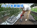 [最新] 水耕栽培 トマト ハイポニカ 253822