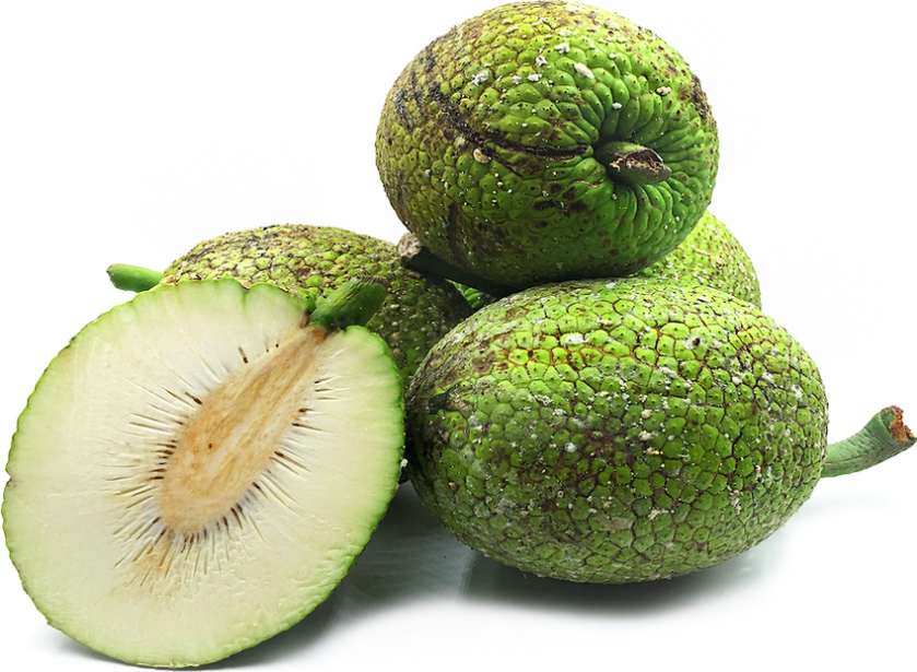 DISTINGUERE DURIAN, JACKFRUIT E BREADFRUIT (Albero del Pane)