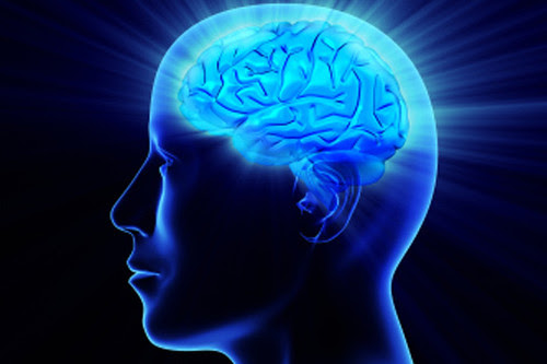 meningkatkan iq