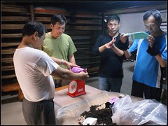DSC09774