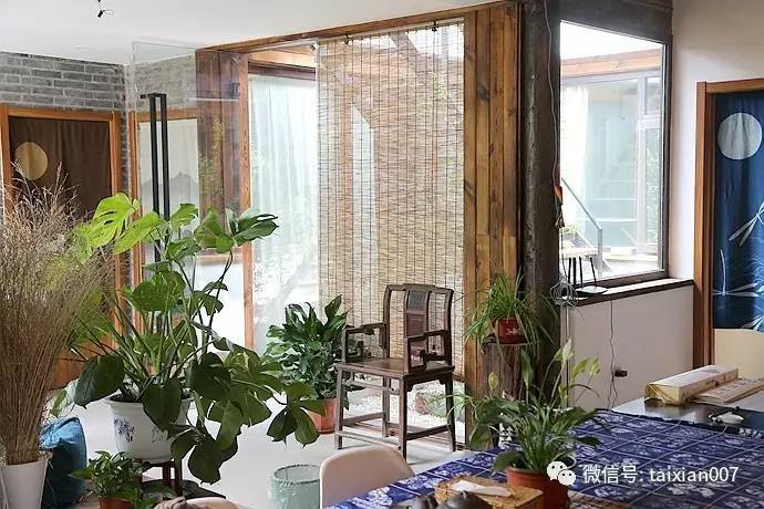 有花园的必须知道 植物的风水