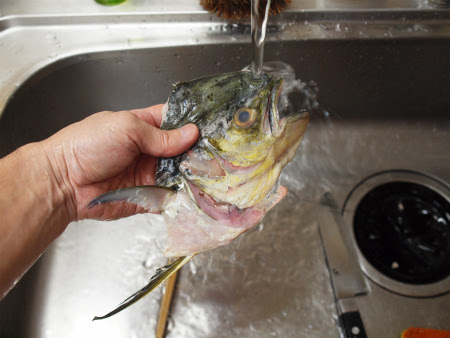 かなやま シイラ のあら煮 あら炊き 魚料理と簡単レシピ