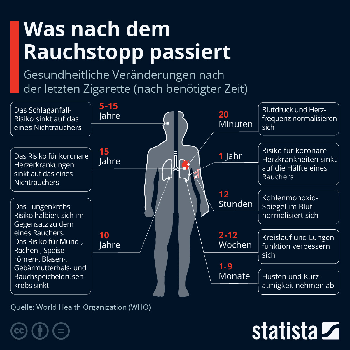Infografik Was Nach Dem Rauchstopp Passiert Statista