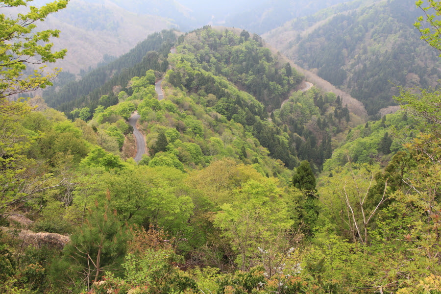 おにゅう峠 滋賀県と福井県を繋ぐ絶景林道ツーリング バイクと峠