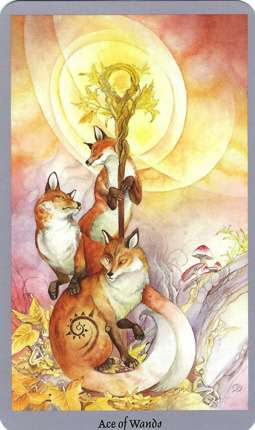 Wands-Fire-AceofWands-ShadowscapesTarot