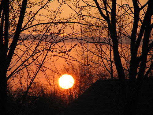 Another Sunset