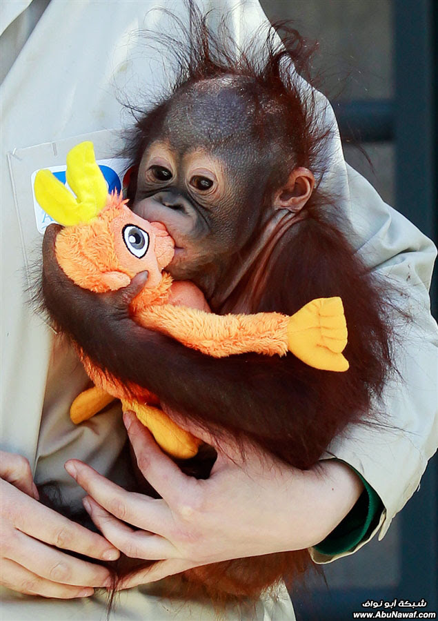 صور حول العالم : العلاج بدخان السجائر + الرئيس التشيكي يسرق قلمًا .. والمزيد