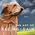 The Art of Racing in the Rain