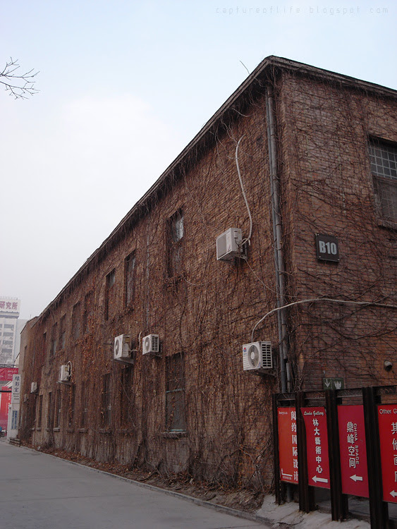 2010_1209_155341ORz