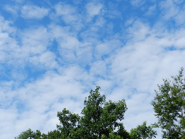 skywatchfridayDSCN7033