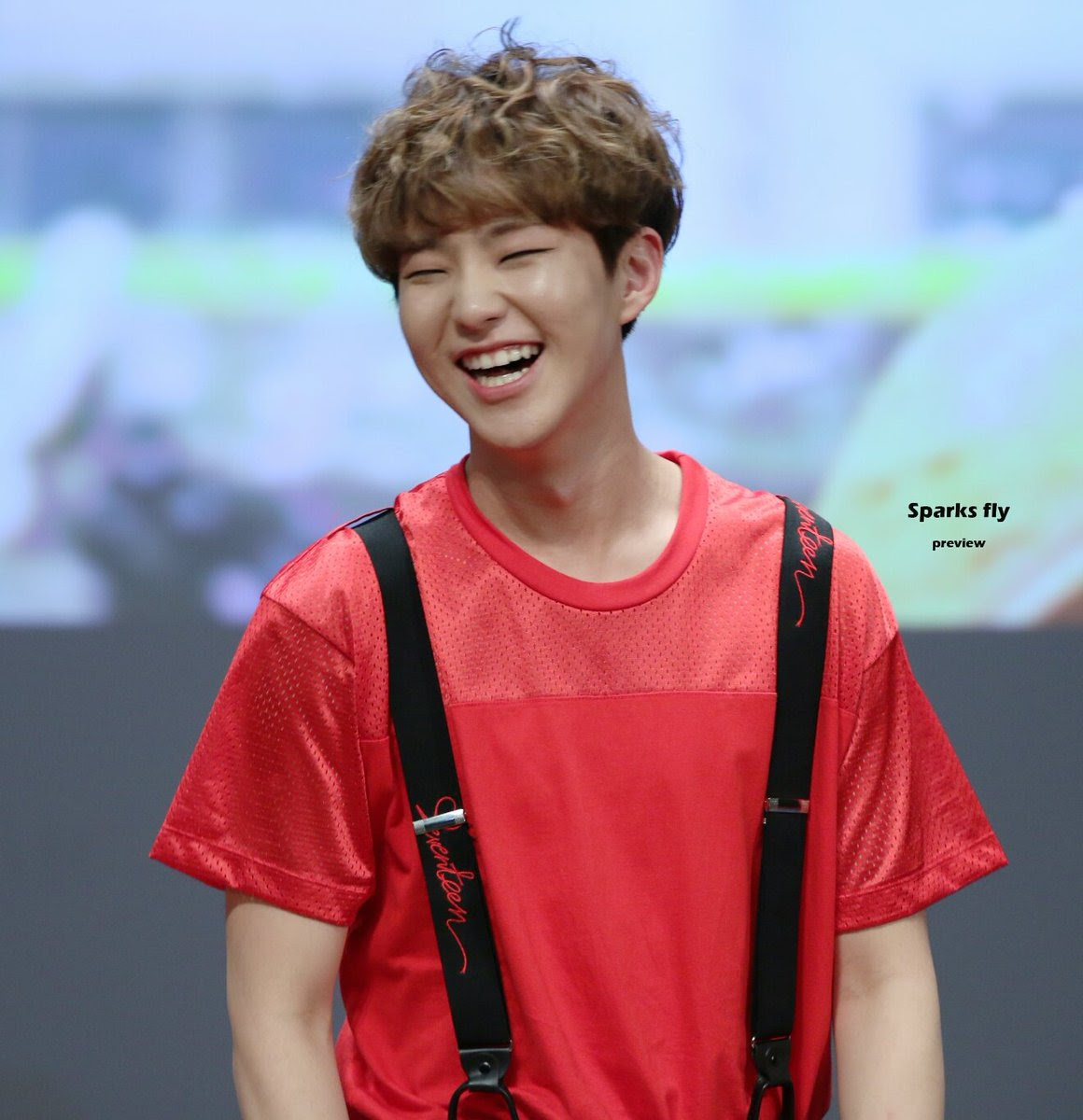 호시 세븐틴 HOSHI 아이돌10명으로취향을드러내보자 SEVENTEEN 순영이 권순영 아주NICE SVT 우지 민규 spark_fly_hoshi