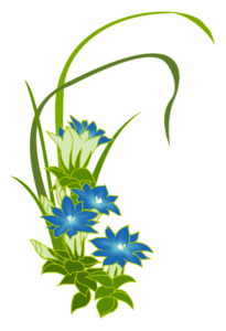 リンドウの花言葉 敬老の日に贈られる理由とは
