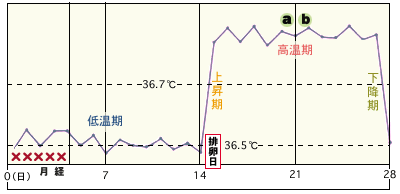 不妊相談 琴似産科婦人科クリニック
