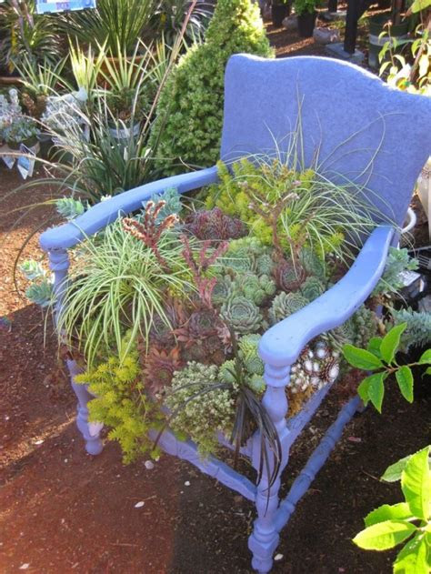 unique succulent planters statement
