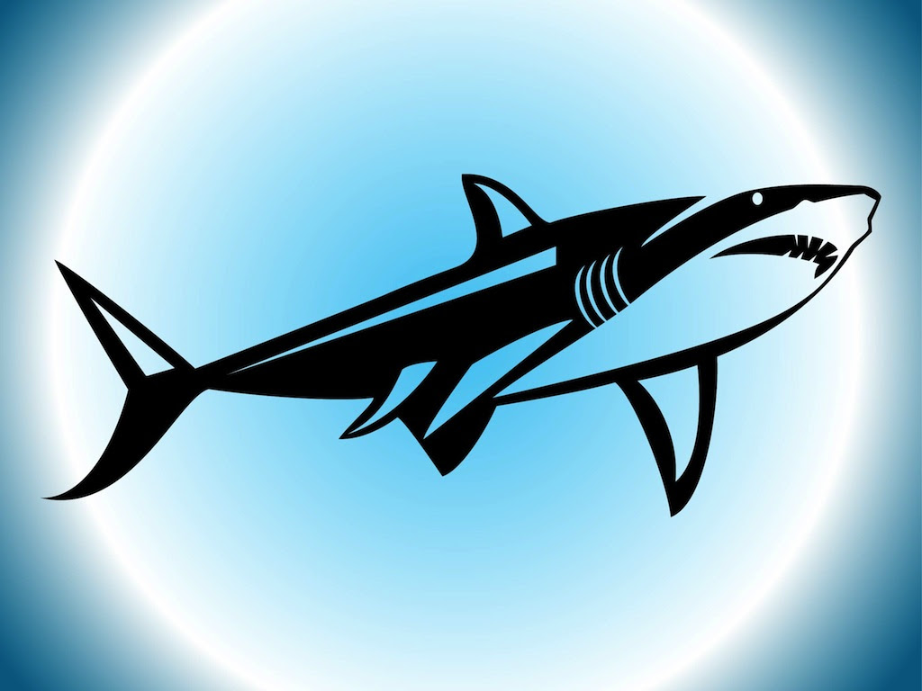 Download Shark Silhouette Vector Art & Graphics | freevector.com