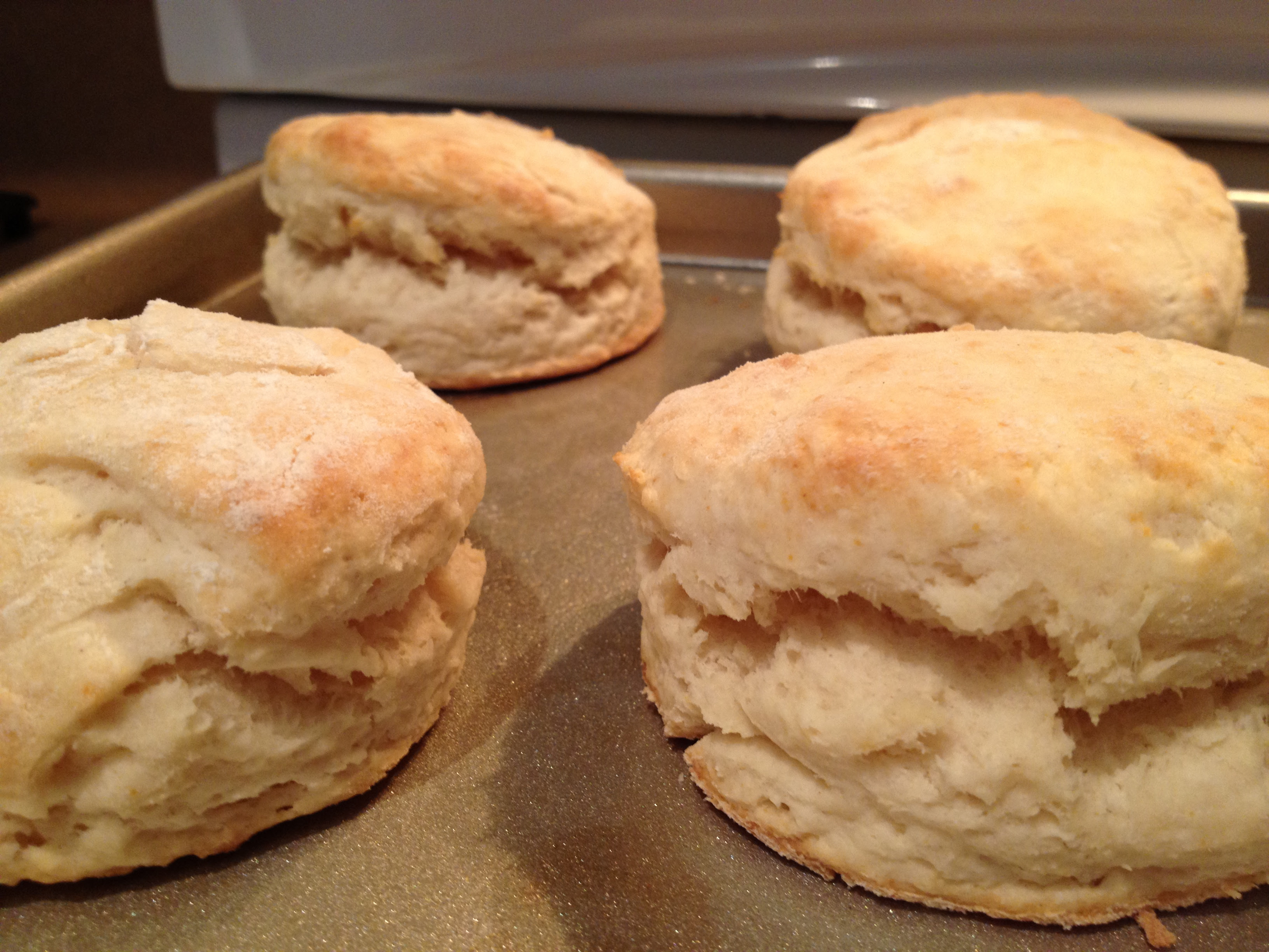 EASY Country Biscuits from Scratch - Prepared Housewives