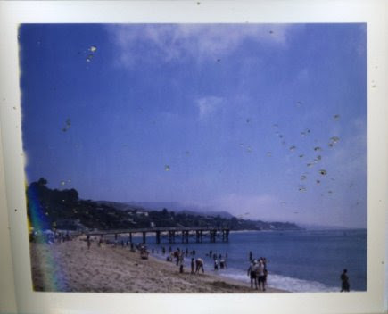 paradise cove