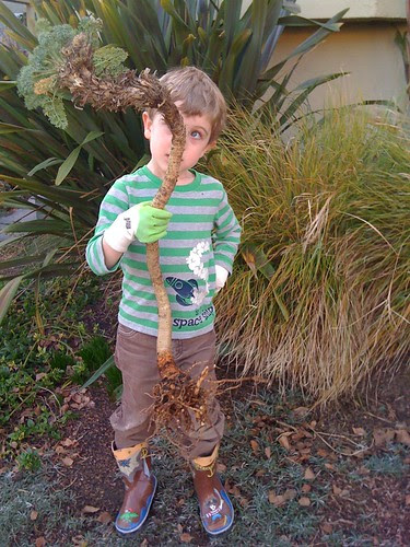 parker and the wormy plant
