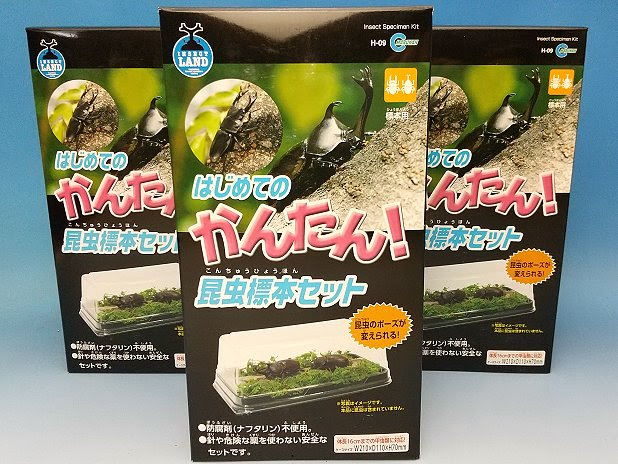 マルカンのカンタン昆虫標本セット販売 夏休みの自由研究に最適