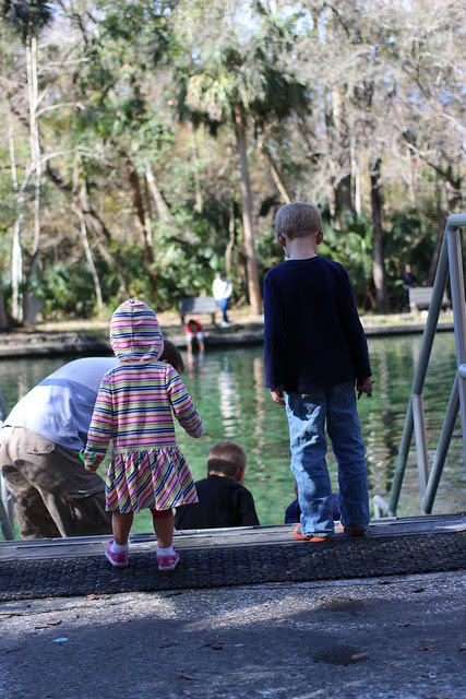 Wekiva State Park and Wekiva Island