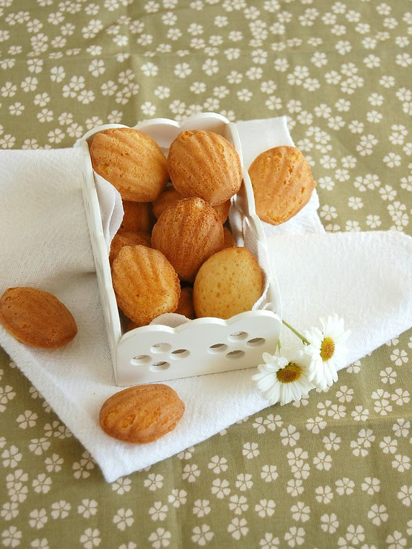 White chocolate and lemon madeleines / Madeleines de limão siciliano e chocolate branco
