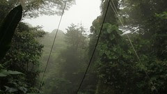 Leap of faith: I am jumping off Tarzan swing