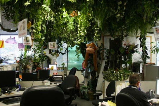 Income Diary Awesome Office 14517
