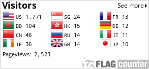 Flag Counter